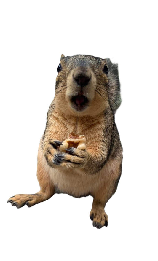 Mexican Chocolate Peanuts