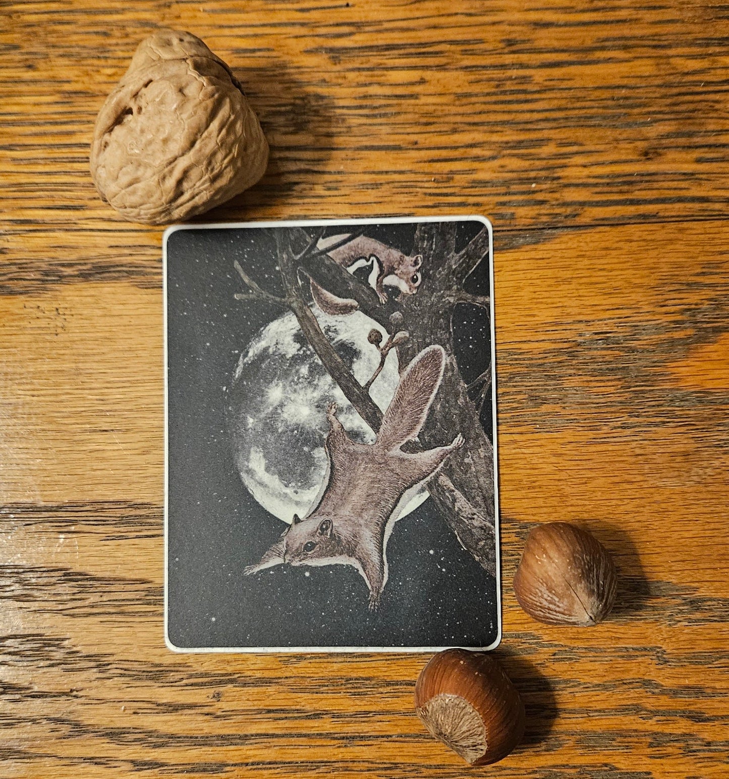 Flying Squirrel Sticker