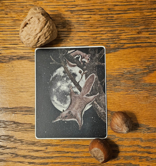 Flying Squirrel Sticker