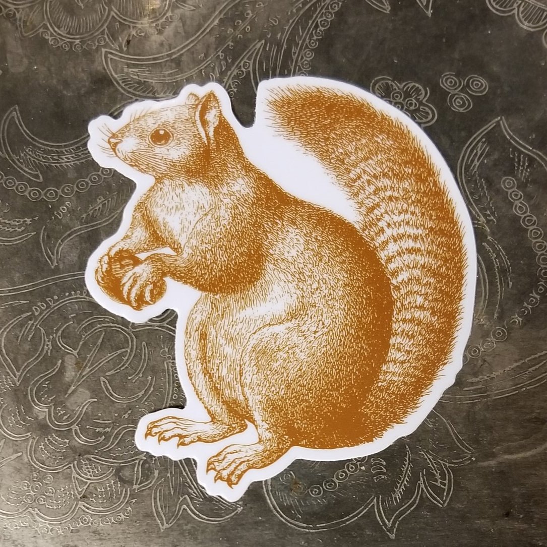 Squirrel Sticker