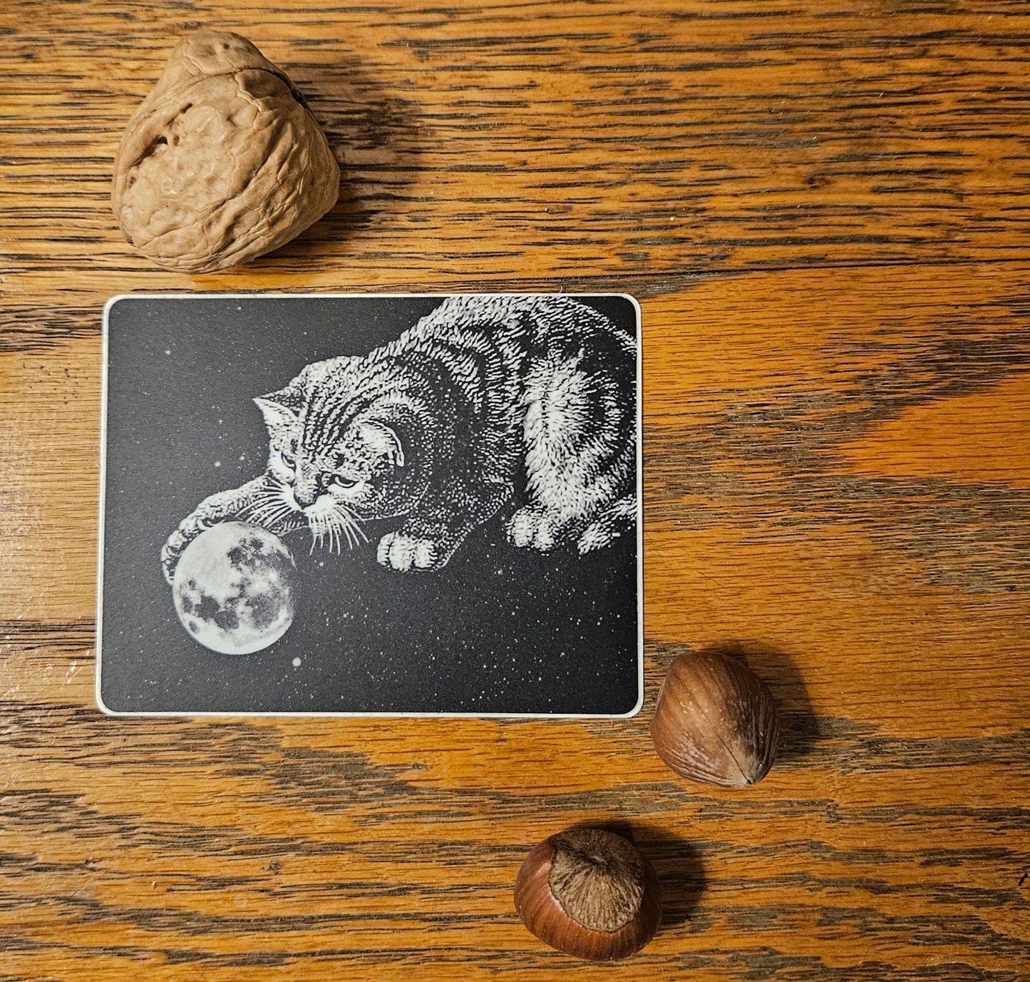 Kitten Plays With Moon Sticker