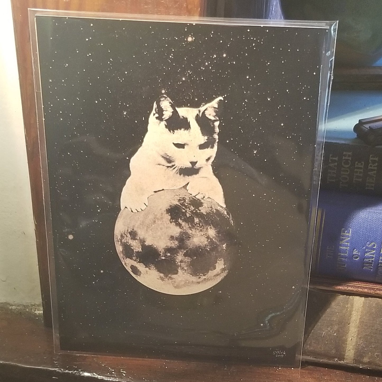 Chaton sur la lune 5x7