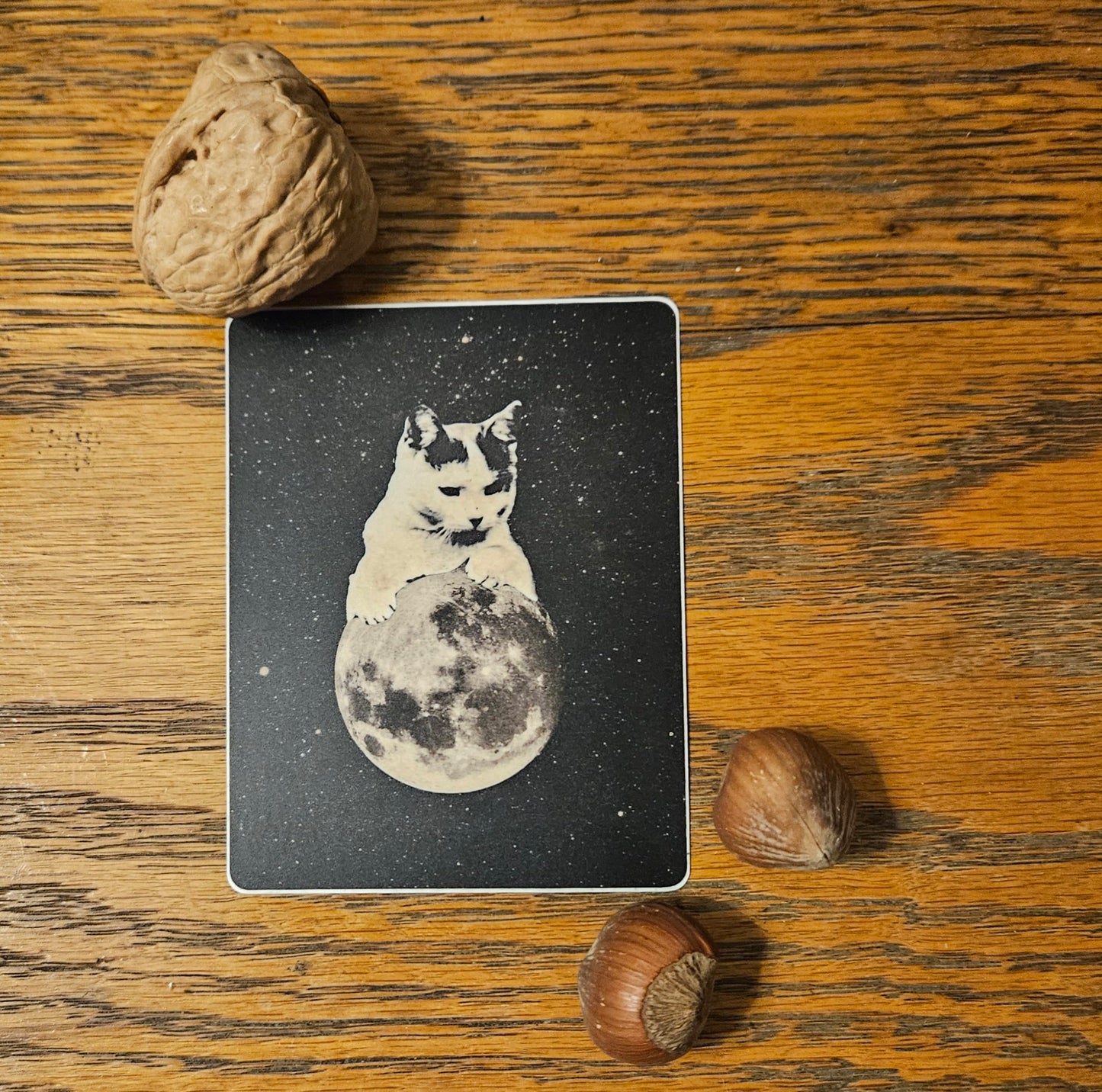Kitten Over Moon Sticker