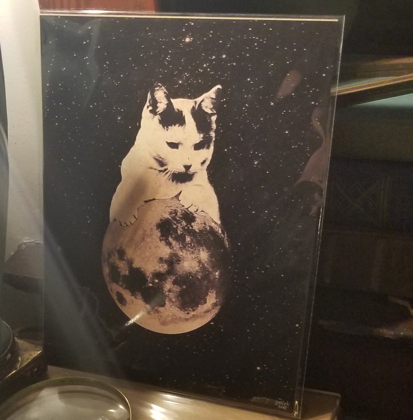 Kitten Over Moon 8"x10"