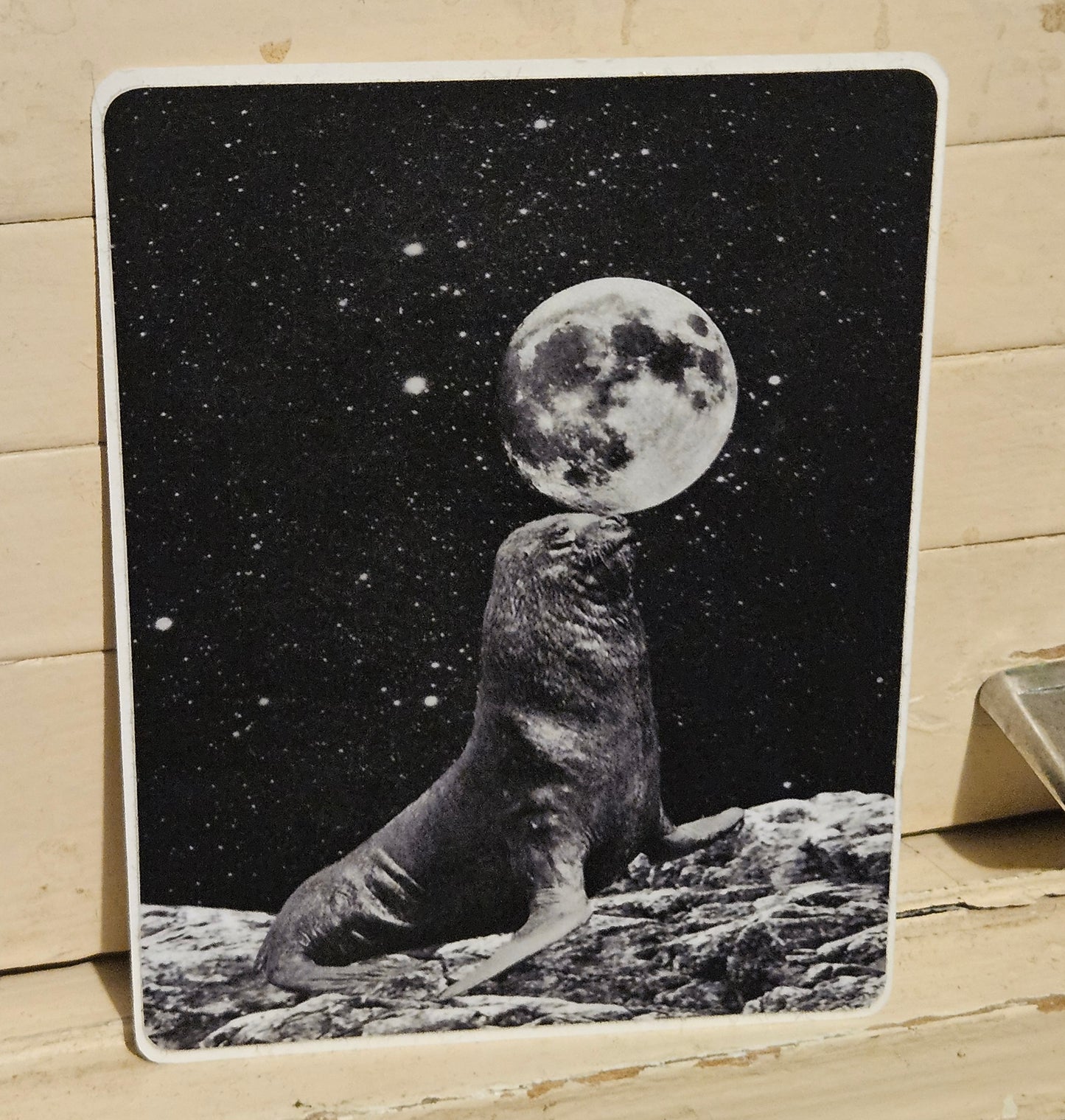 Seal You Later, Beaches Sticker