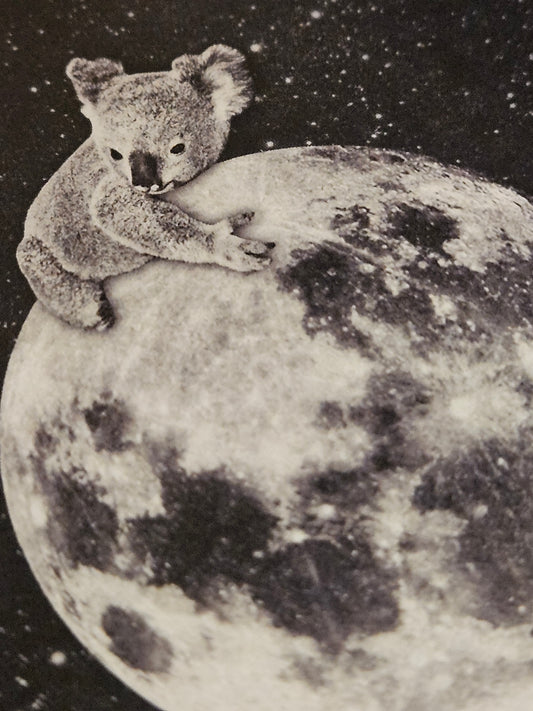 Koala Moon Sticker
