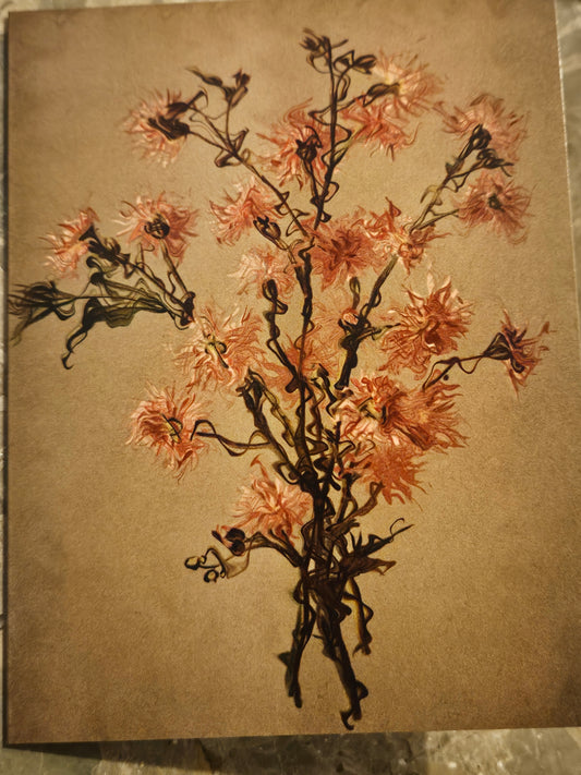 Wilt & Bloom #6 Card