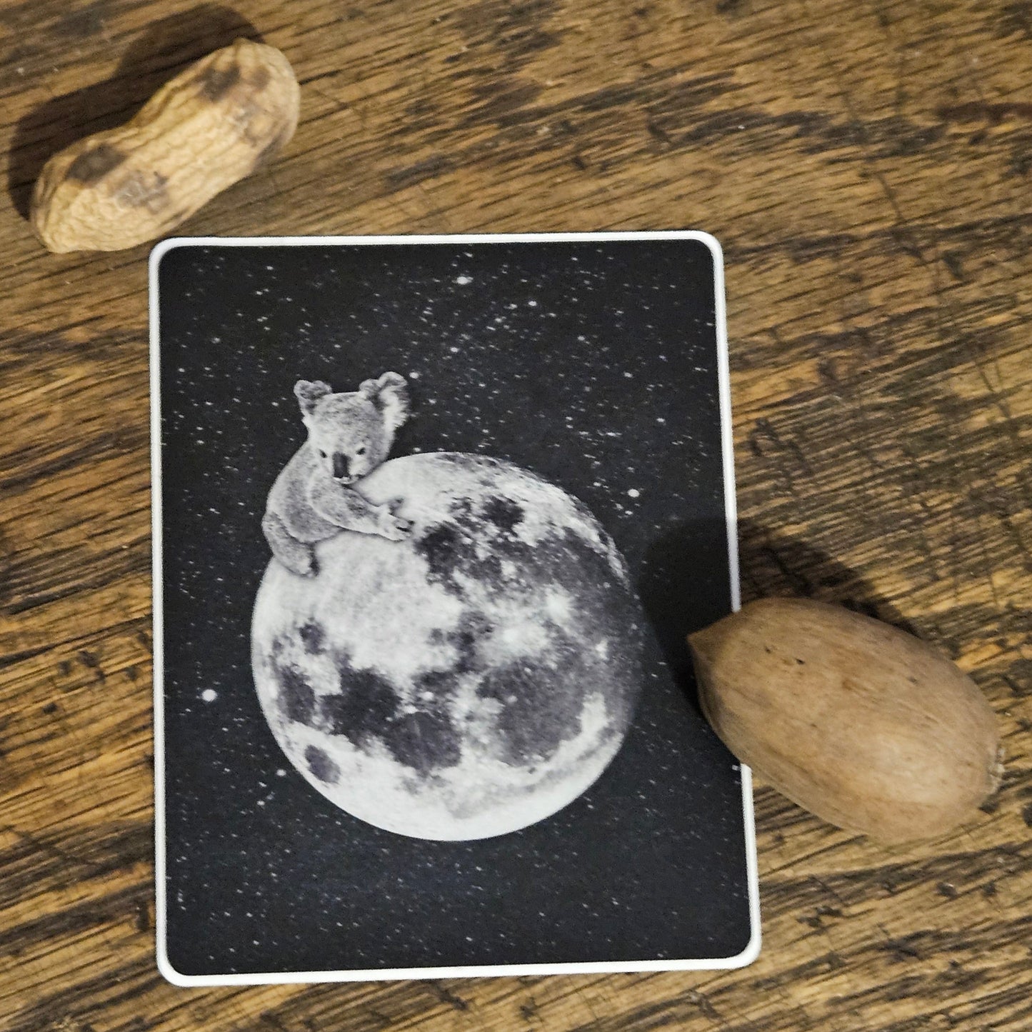 Koala Moon Sticker