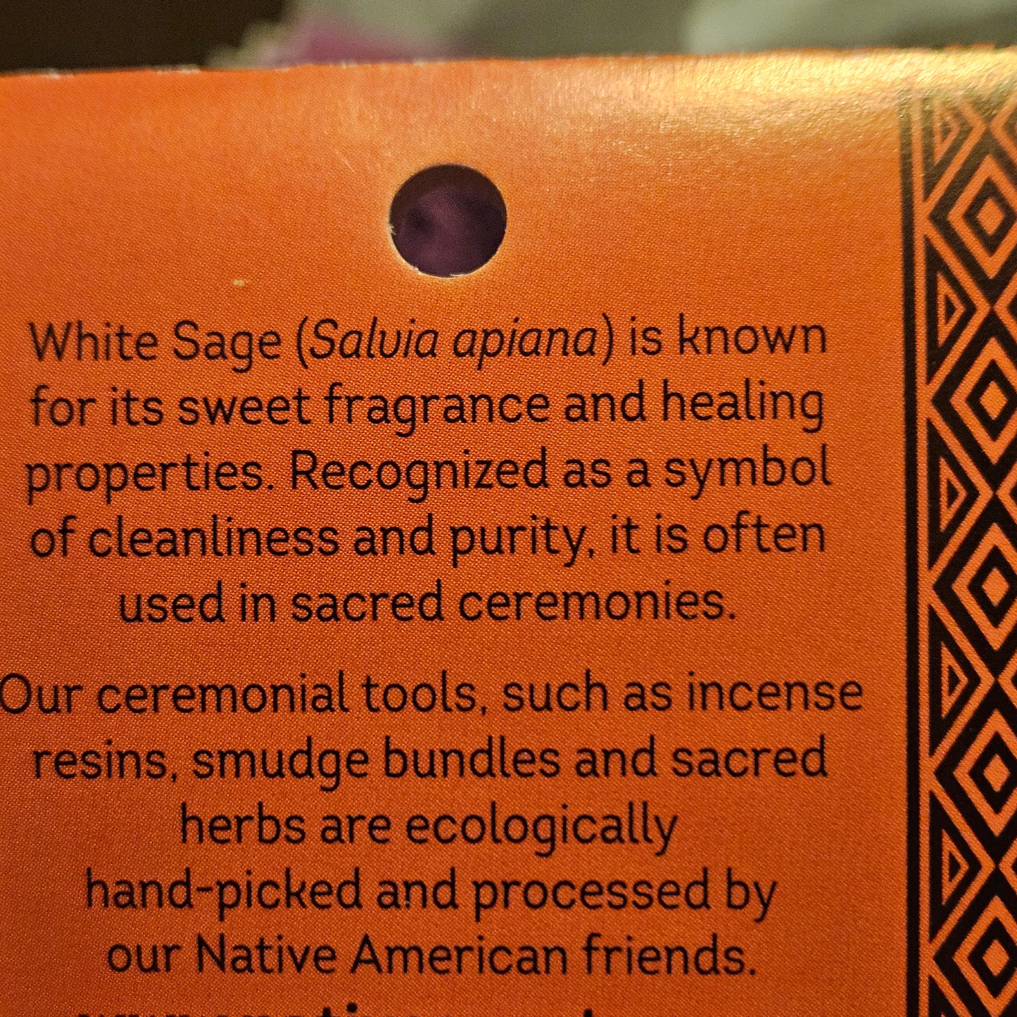 Trio of Baby White Sage Smudge Bundles