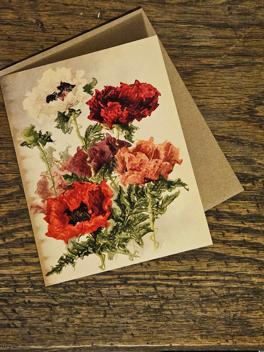 Wilt & Bloom #1 Card