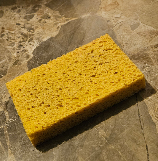 Compostable Kitchen Sponges