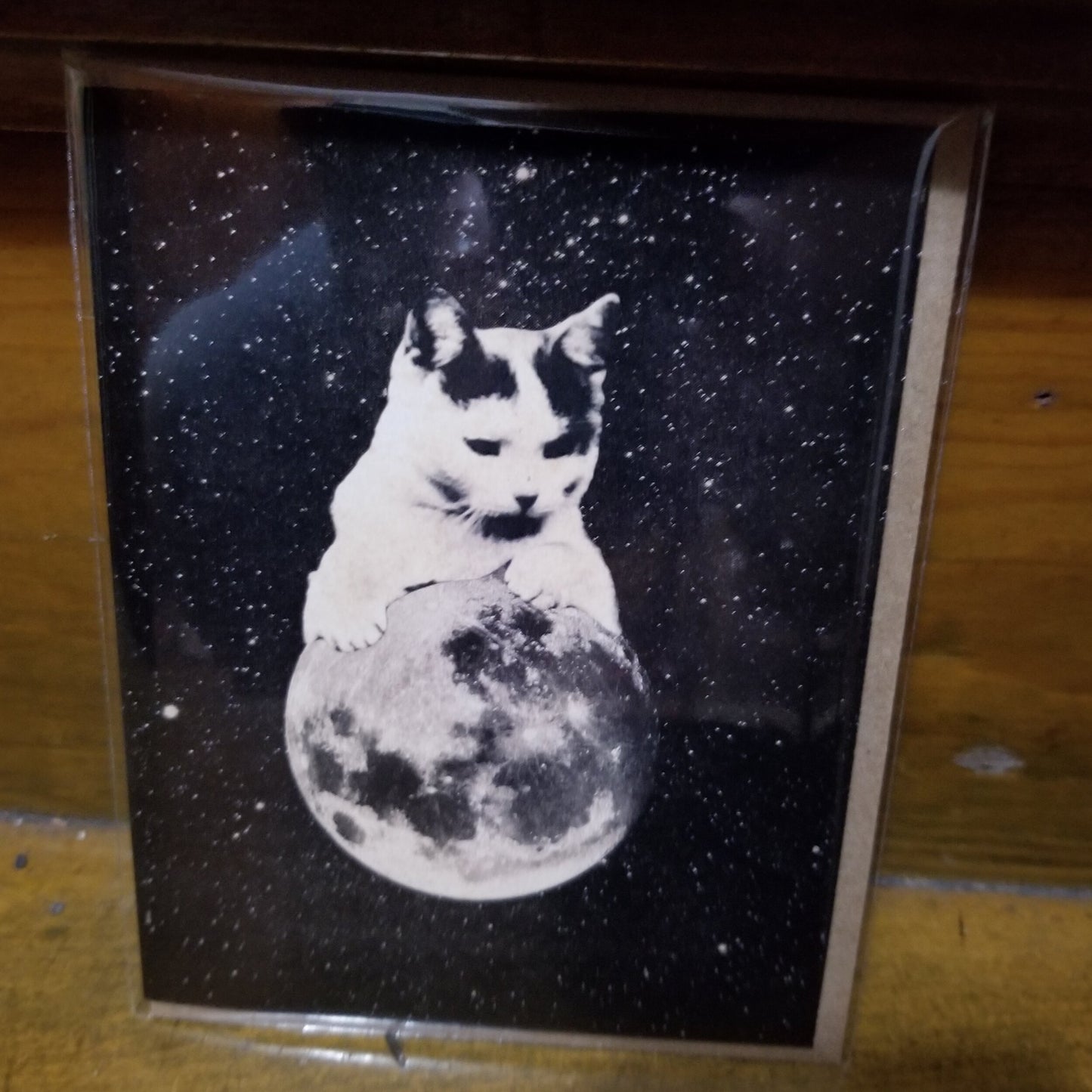 Tarjeta Gatito sobre la luna