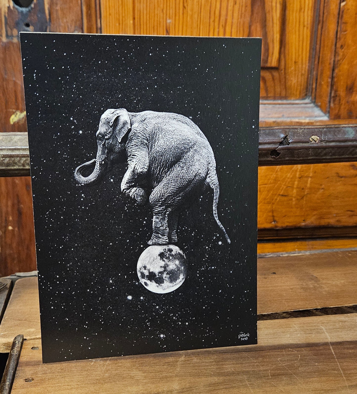 Elephant Moon 5x7 Print