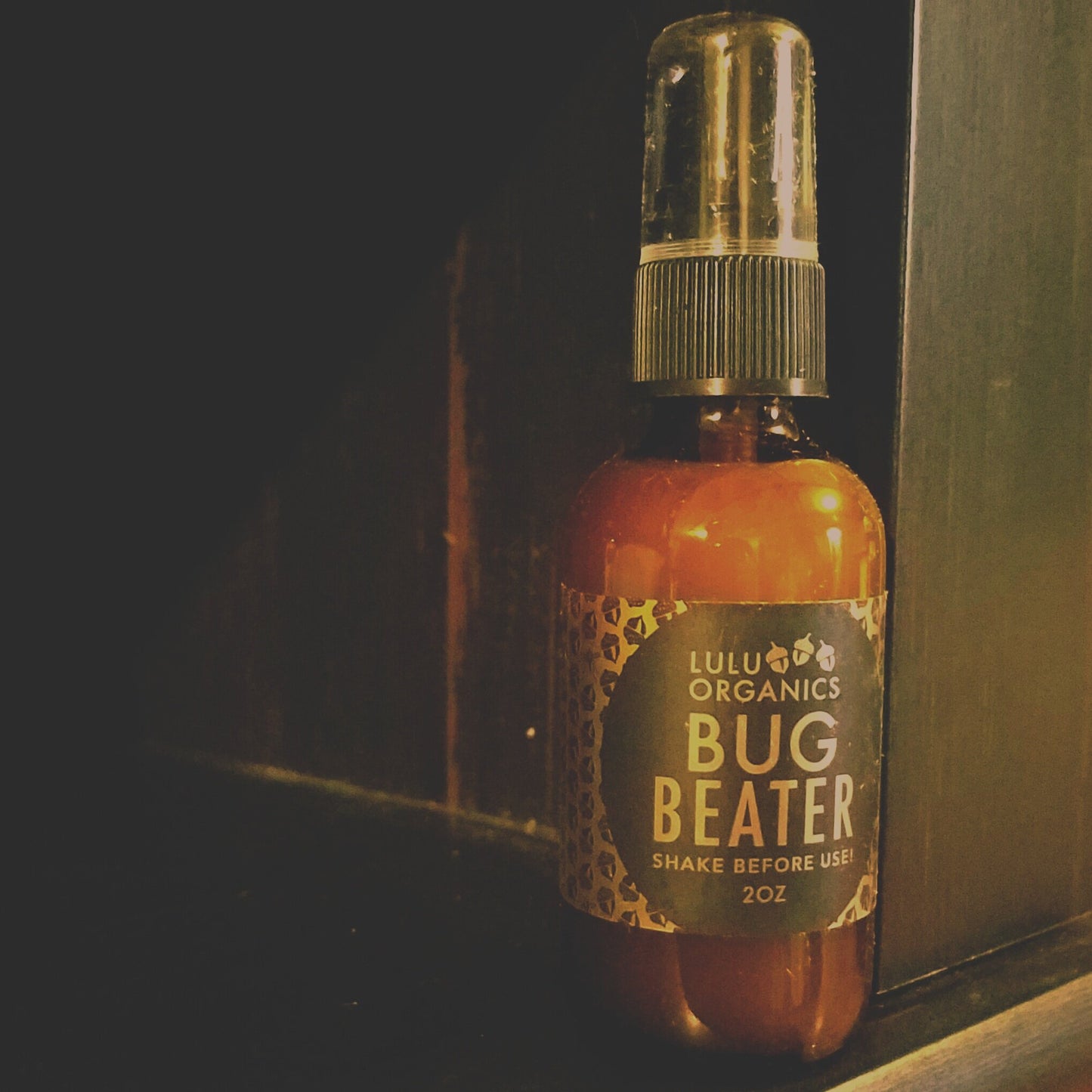 Chasse-insectes