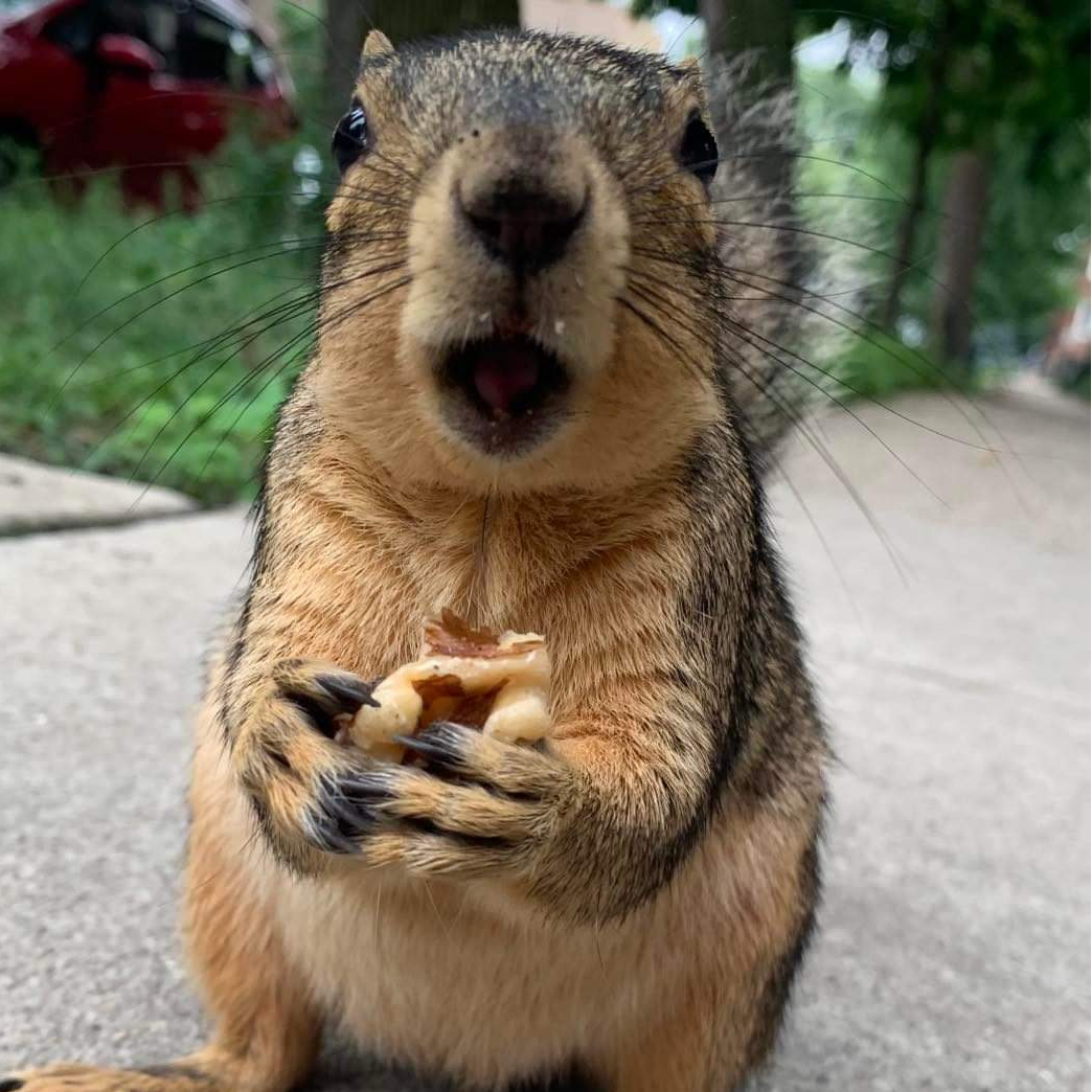 Chocolate Orange Cardamom Almonds