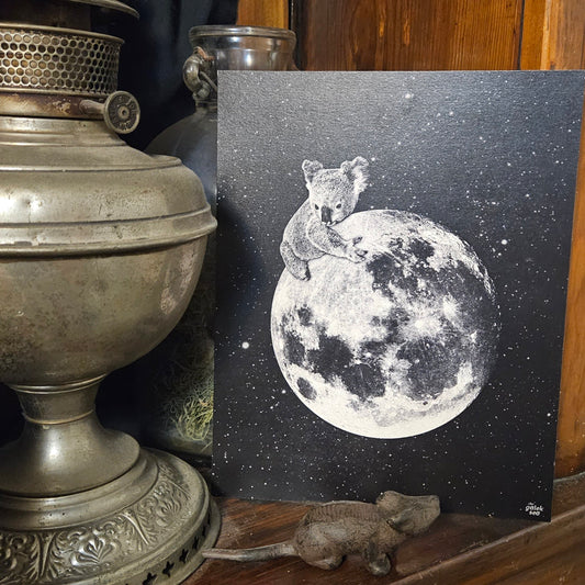 Koala Print 8x10"
