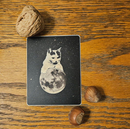 Pegatina Gatito sobre la luna