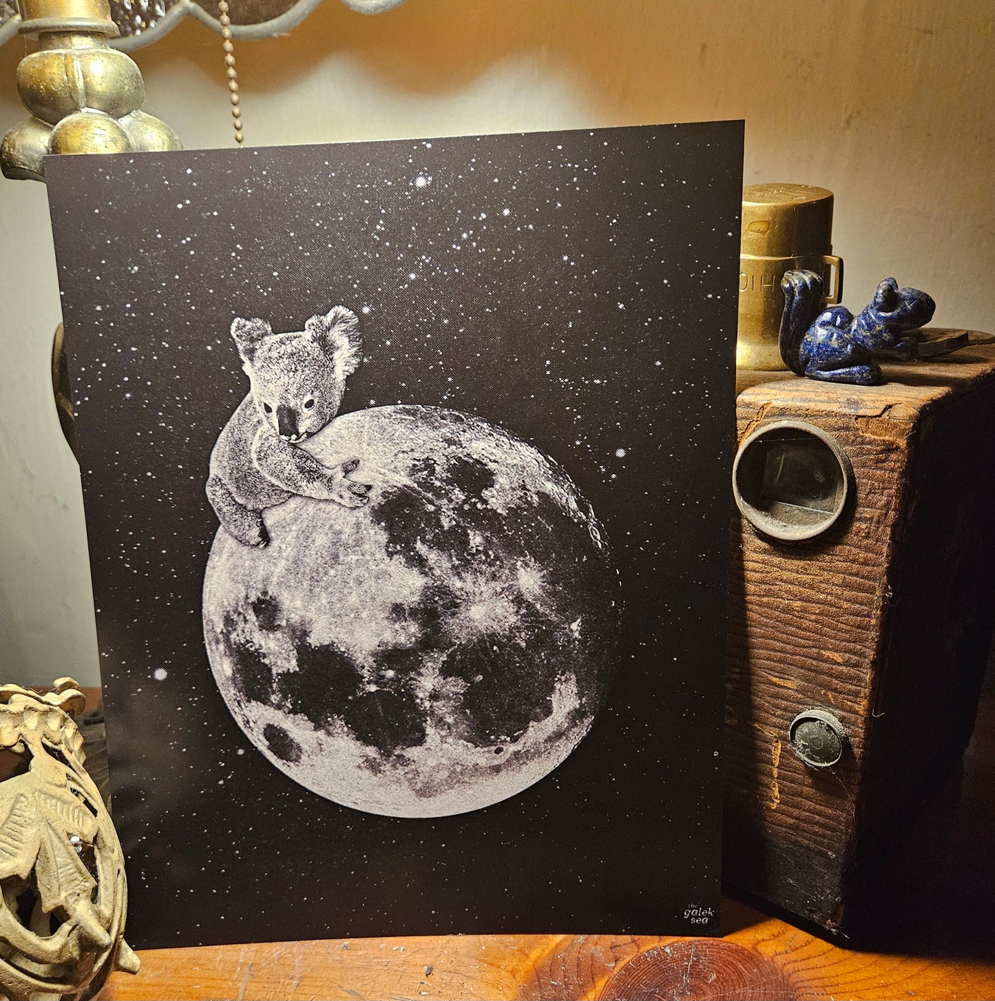 Koala Print 8x10"