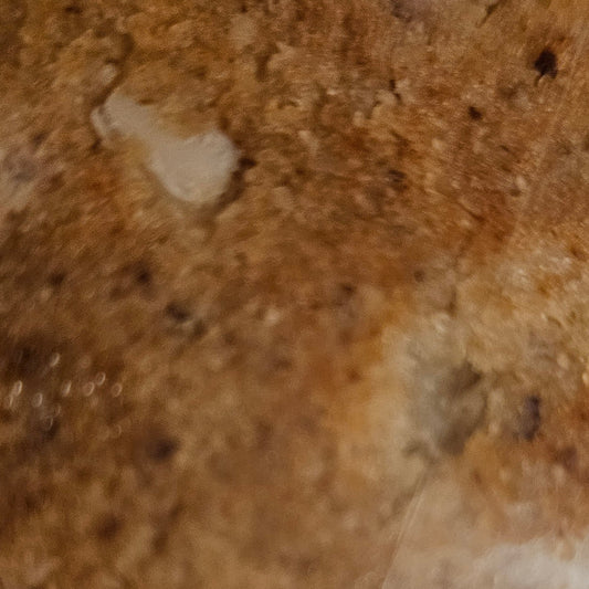 White Chocolate Macadamia Cookie