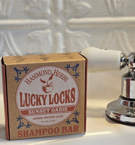 Sunset Oasis Shampoo Bar