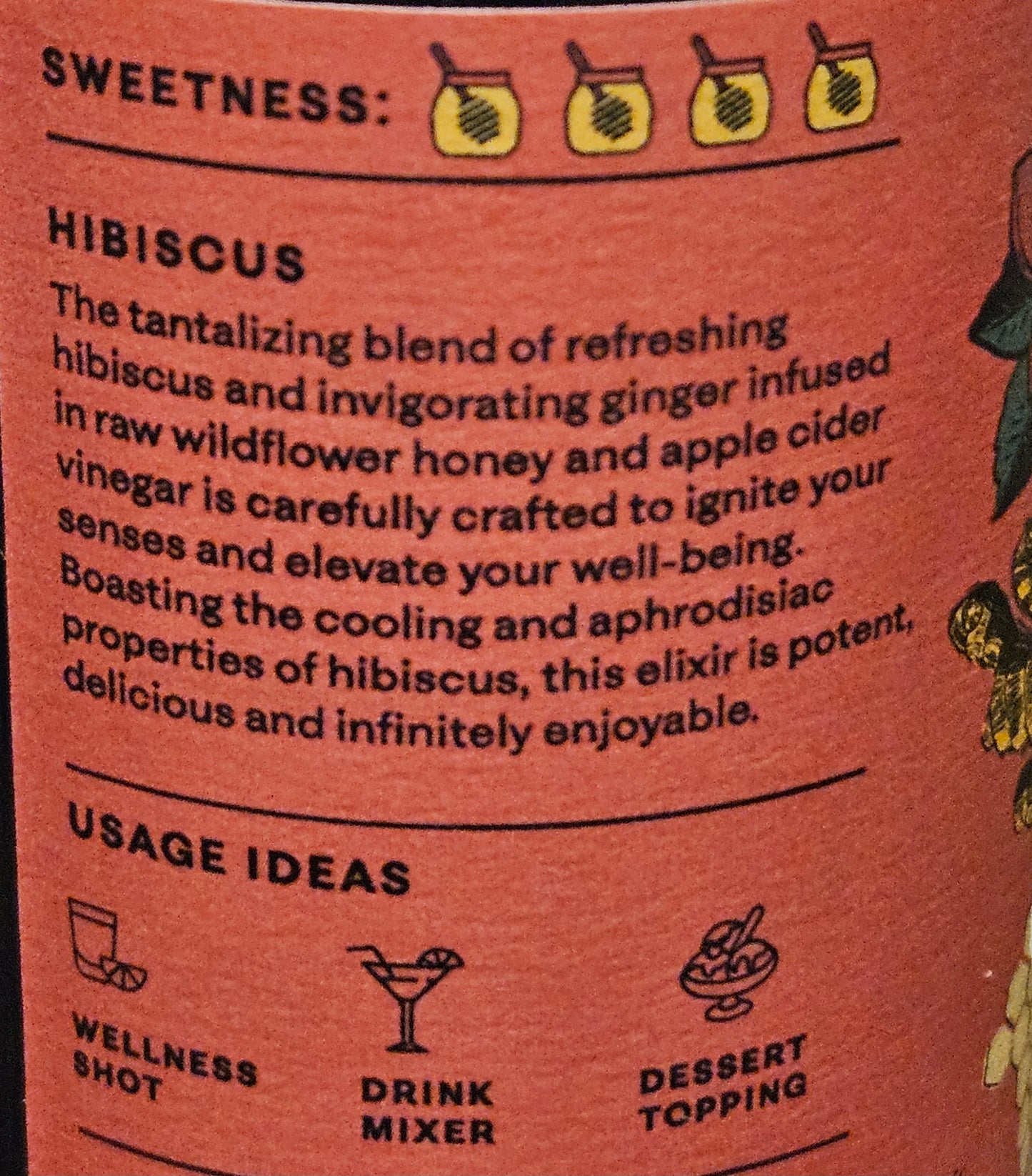 Hibiscus Ginger Wellness Tonic